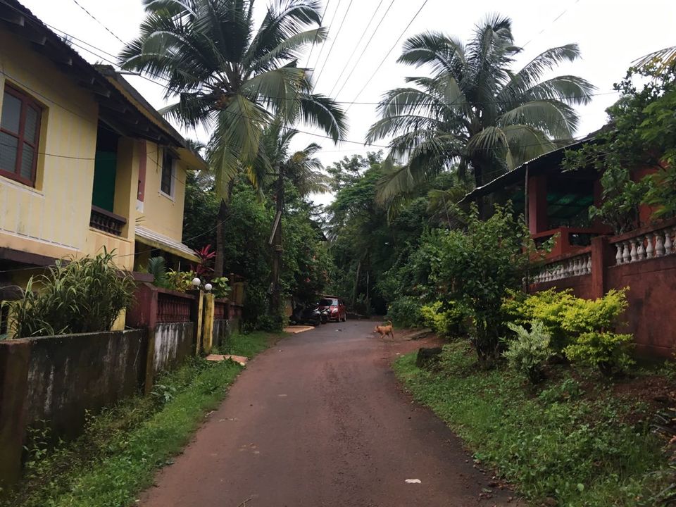 Photo of A Monsoon Affair In Goa #offbeatgoa by Niyati Verma