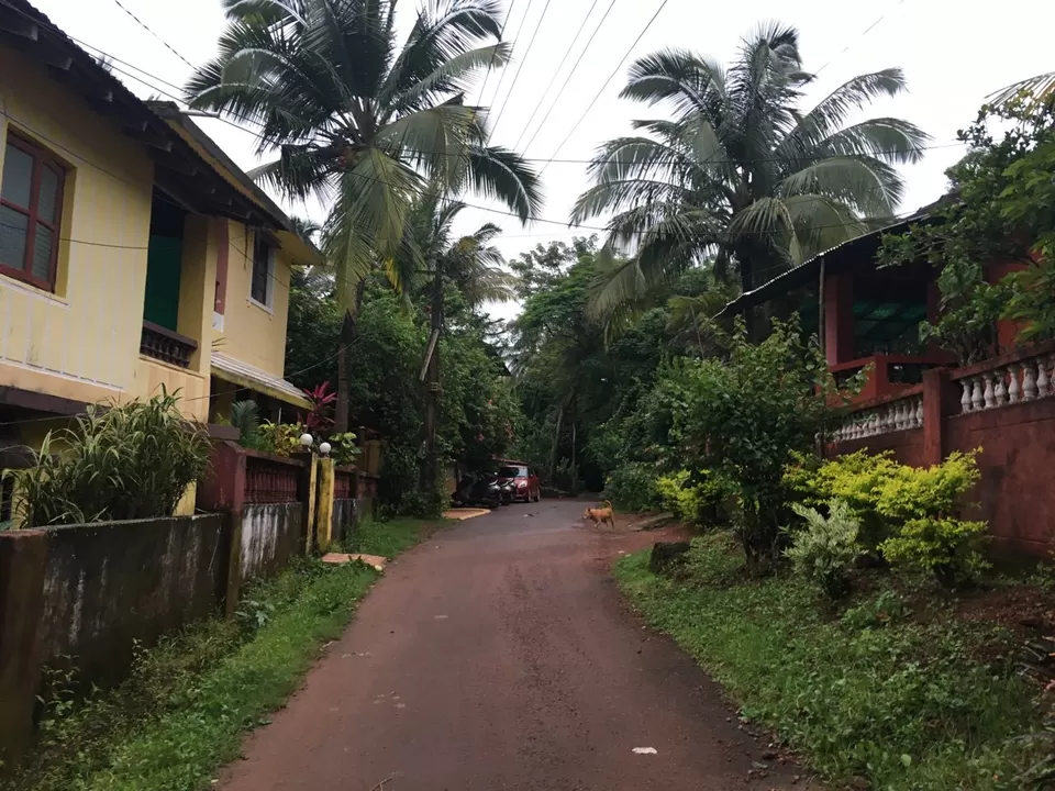 Photo of A Monsoon Affair In Goa #offbeatgoa by Niyati Verma