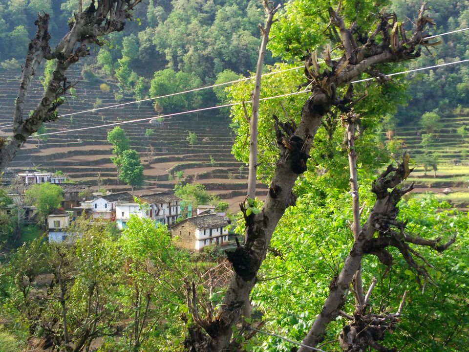Photo of Uttarakhand, India by Shilpa Negi