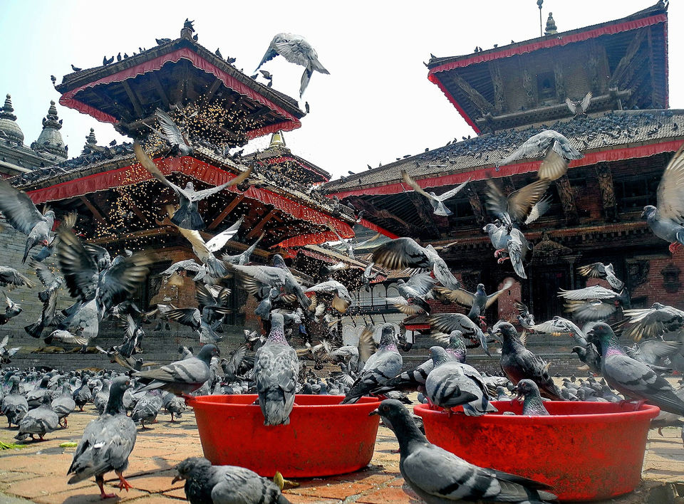 Photo of Glimpses of Nepal Tour 1/4 by Himalayan Dreams