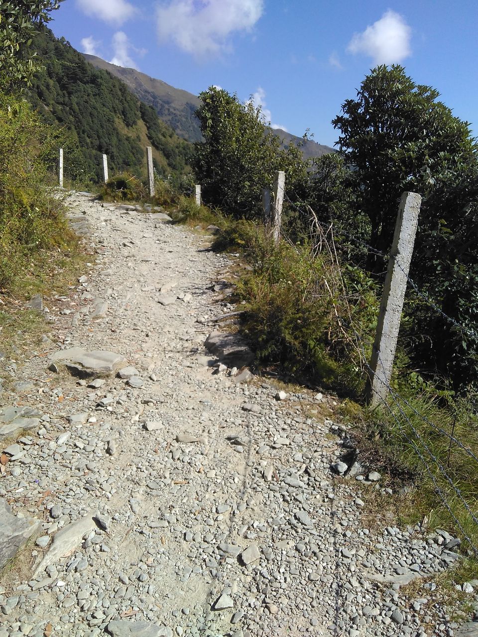 Photo of Dharamkot Road, Bhagsu Nag, McLeod Ganj, Himachal Pradesh, India by Ashish Chainani