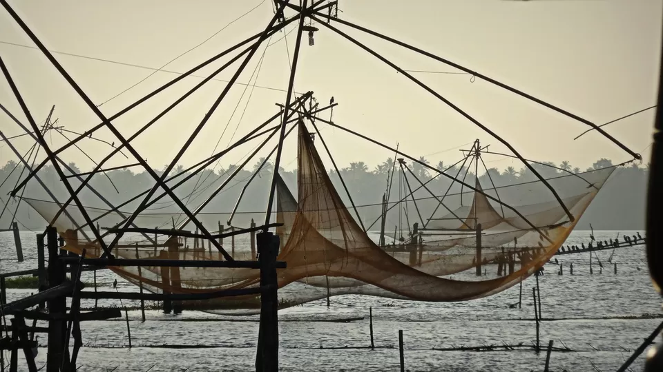 Photo of Kerala, India by Vidya