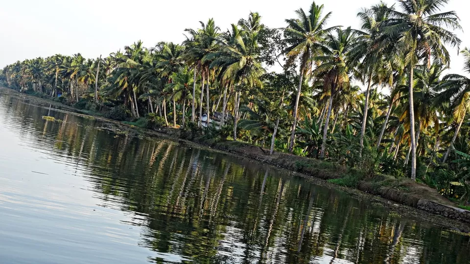 Photo of Kerala, India by Vidya