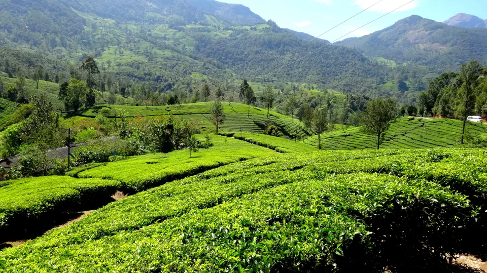 Photo of Kerala, India by Vidya