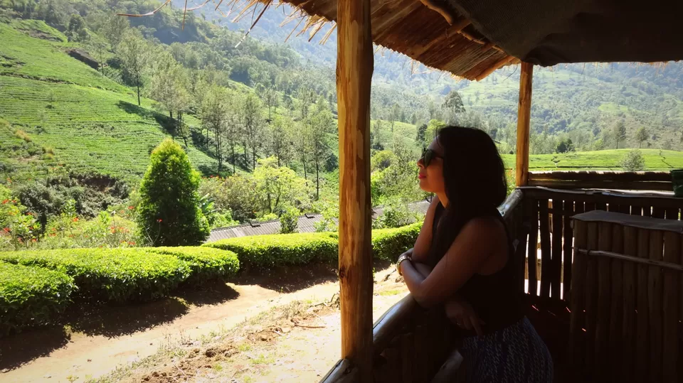 Photo of Kerala, India by Vidya