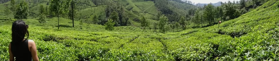 Photo of Kerala, India by Vidya