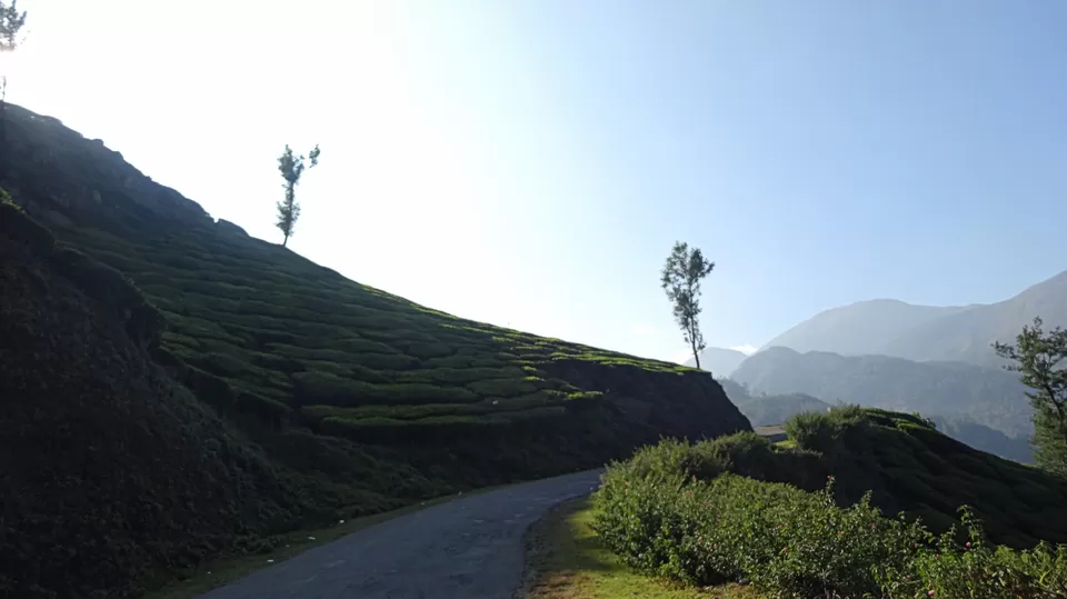 Photo of Kerala, India by Vidya