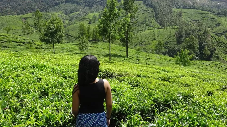 Photo of Kerala, India by Vidya