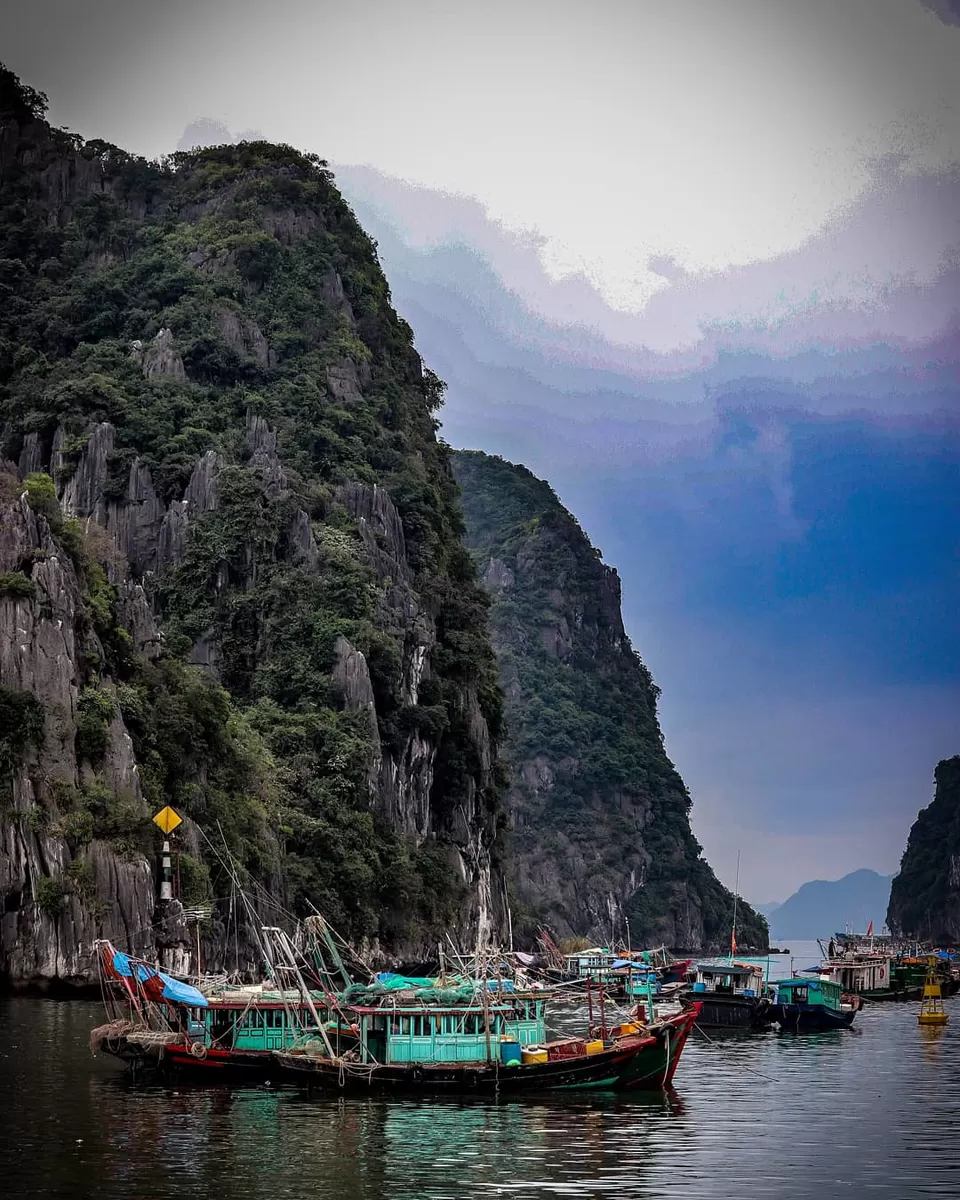 Photo of Halong Bay Vietnam, Bãi Cháy, Thành phố Hạ Long, Quảng Ninh, Vietnam by vishwanath moolya