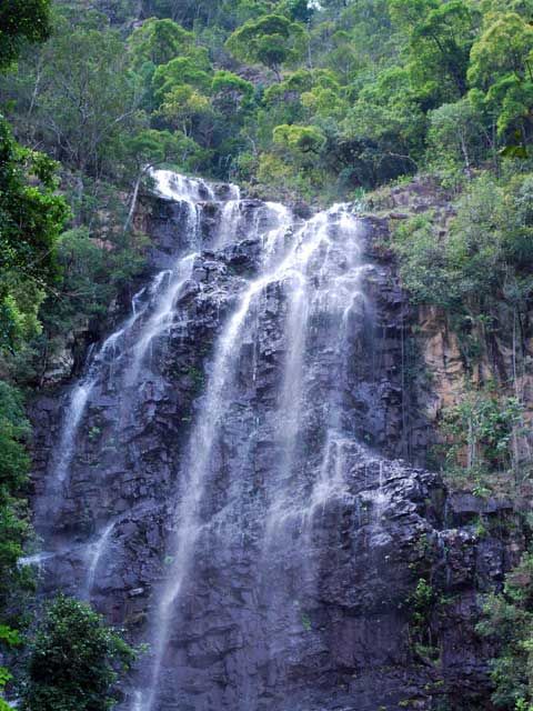 Photo of Tourism in Langkawi – A Love Story. by Steve