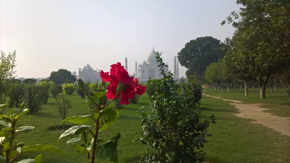 Photo of Visit this moon-garden in Agra to enjoy an unearthly view of the Taj Mahal by Shramana Purkayastha