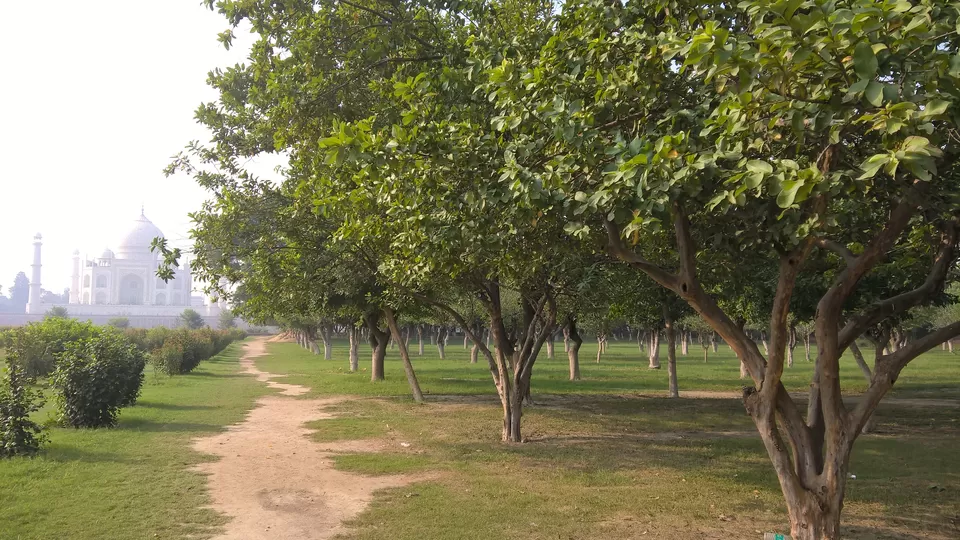 Photo of Visit this moon-garden in Agra to enjoy an unearthly view of the Taj Mahal by Shramana Purkayastha