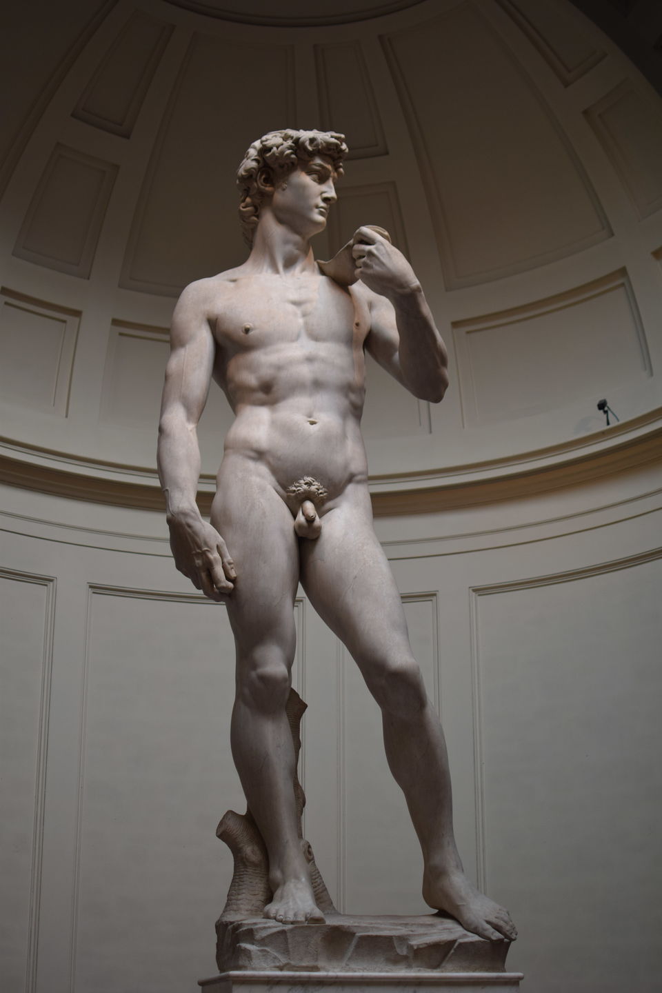 Photo of A Trip To Italy....The land Of Gladiators by Dhruv