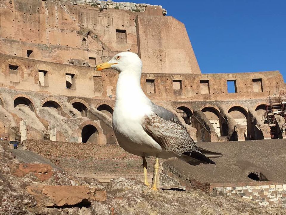 Photo of A Trip To Italy....The land Of Gladiators 2/3 by Dhruv