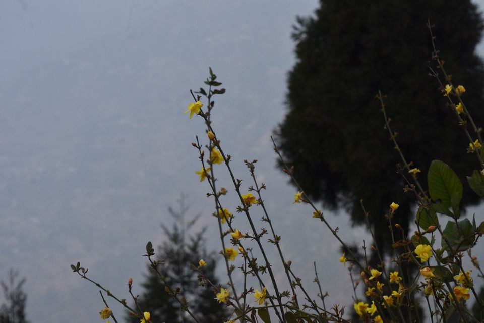 Photo of Kalimpong, West Bengal, India by Dhruv