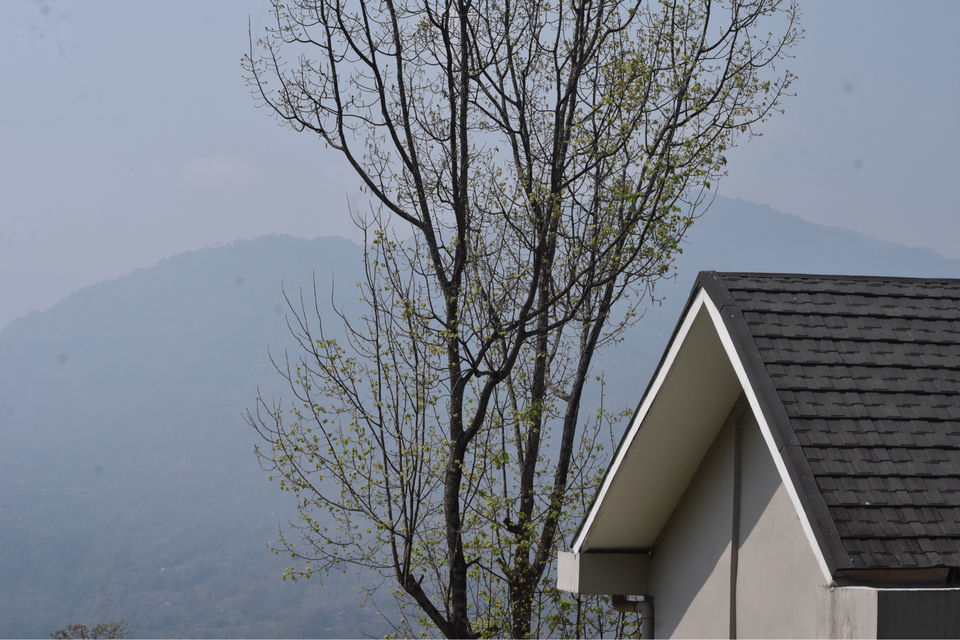 Photo of Kalimpong .. A place lost in the woods ... by Dhruv