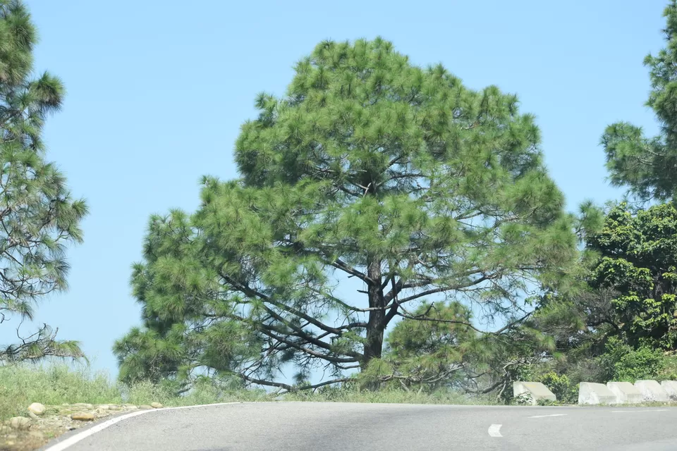 Photo of National Highway 144A, Sarwal, Janipur, Poonch, Jammu by Pallavi Sareen