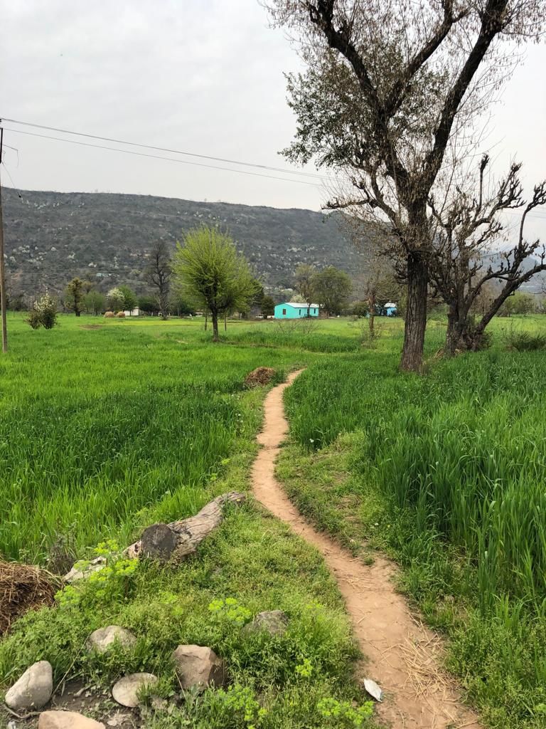 Photo of Ramnagar, Udhampur by Pallavi Sareen