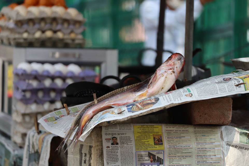 Photo of A trip to Reasi amid Coronavirus Pandemic by Pallavi Sareen