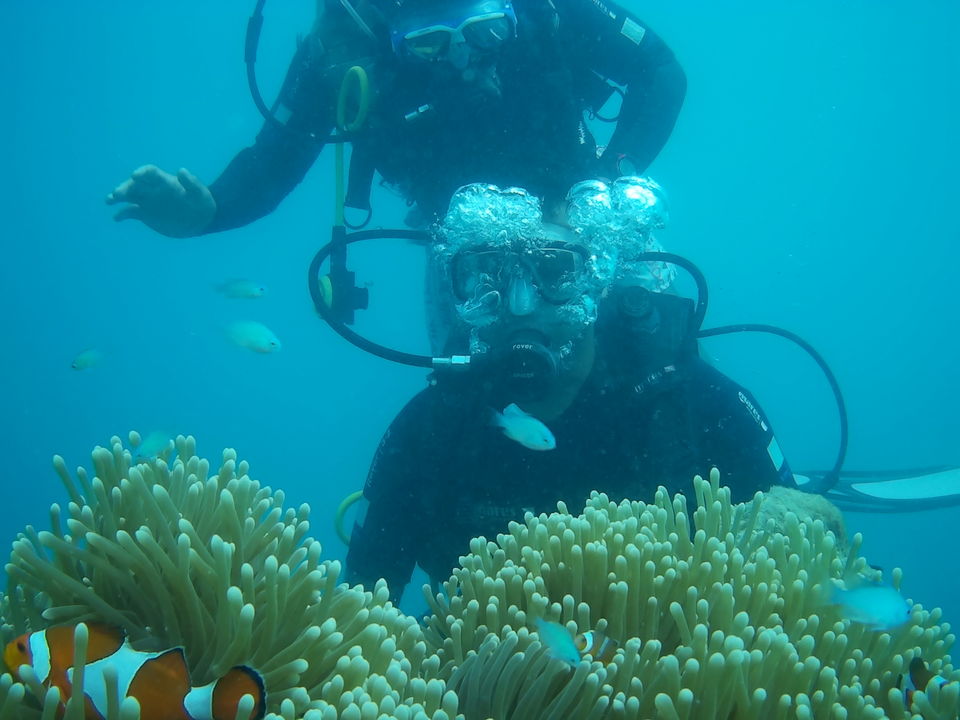 Photo of Havelock Island, Andaman and Nicobar Islands by Arun Cherian
