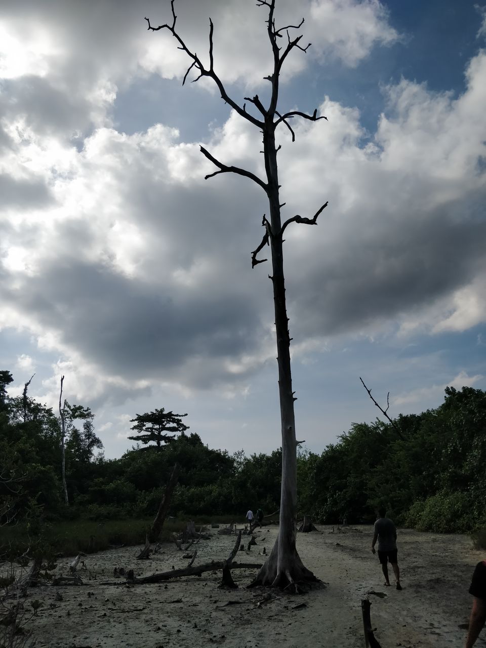 Photo of Havelock Island, Andaman and Nicobar Islands by Arun Cherian