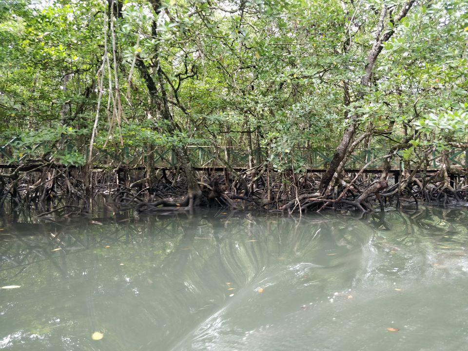 Photo of Port Blair, Andaman and Nicobar Islands, India by Arun Cherian
