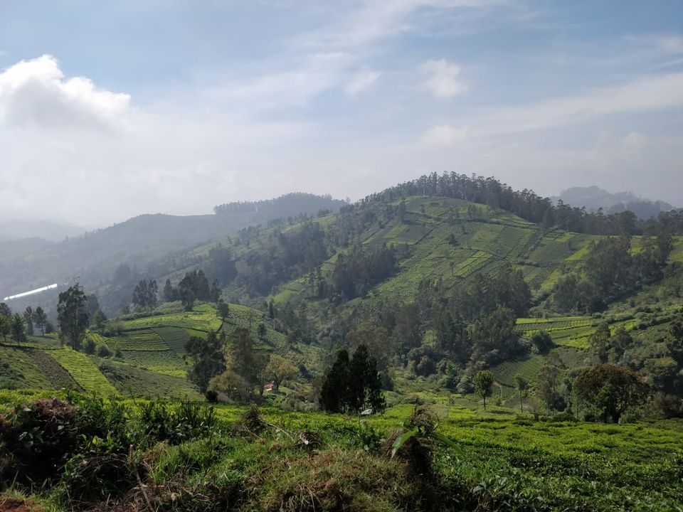 Photo of Ooty, Tamil Nadu, India by Arun Cherian