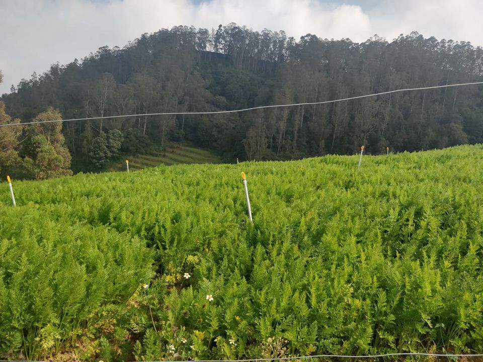 Photo of Ooty, like never before.! by Arun Cherian