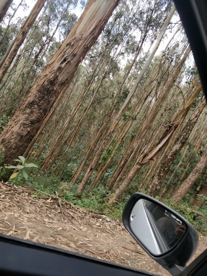 Photo of Ooty, like never before.! by Arun Cherian