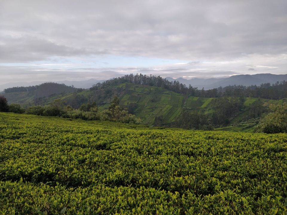 Photo of Ooty, like never before.! by Arun Cherian
