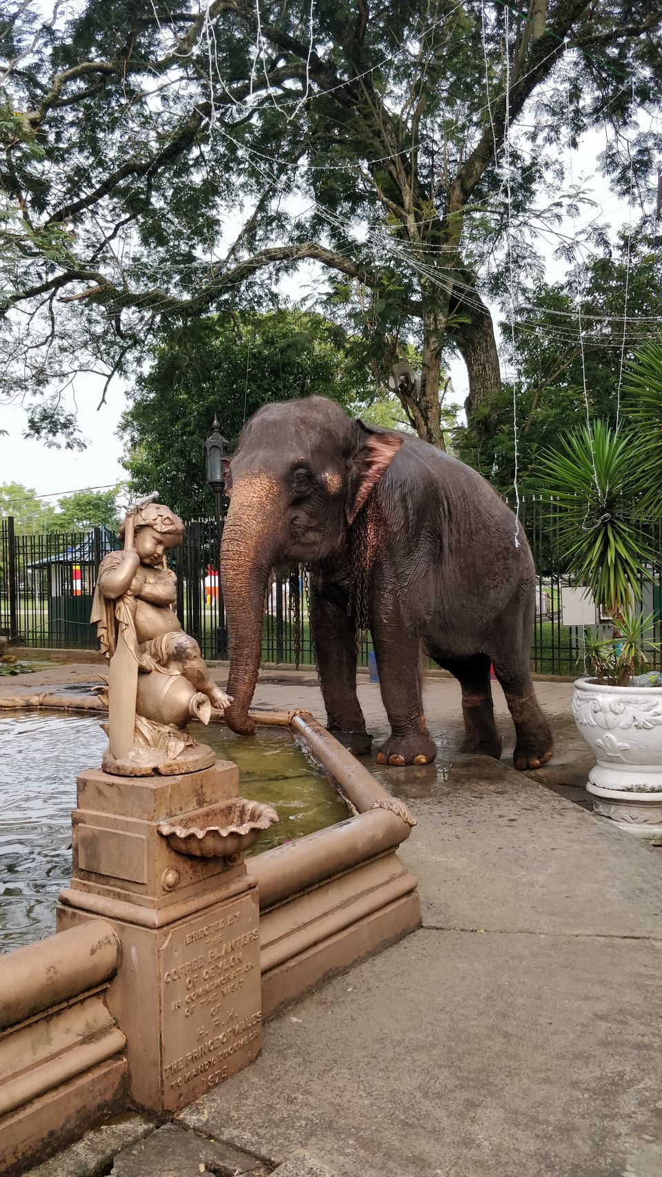 Photo of Sri Lanka in just four days?! by Arun Cherian