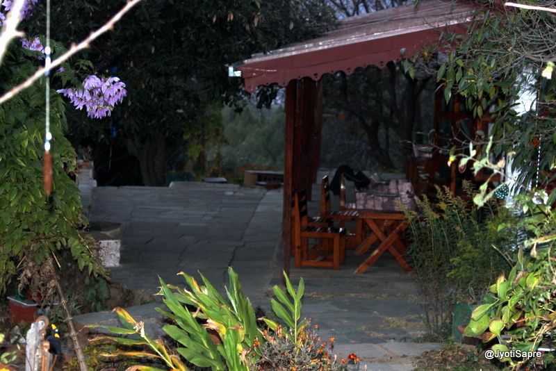 Photo of An autumn trip to Himalayan village, Sonapani 3/18 by Jyoti Sapre