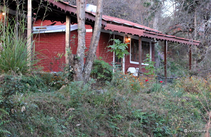 Photo of An autumn trip to Himalayan village, Sonapani 4/18 by Jyoti Sapre
