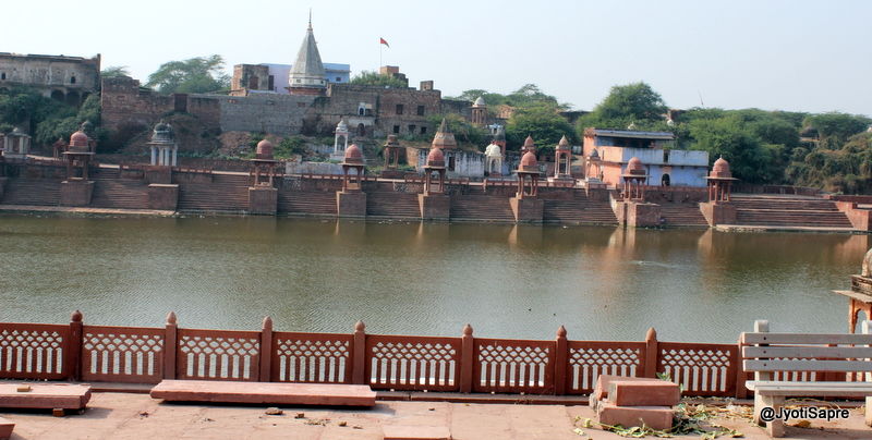 Photo of A weekend visit to Dhaulpur 1/31 by Jyoti Sapre
