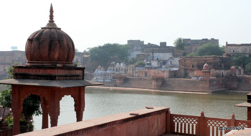 Photo of A weekend visit to Dhaulpur 2/31 by Jyoti Sapre