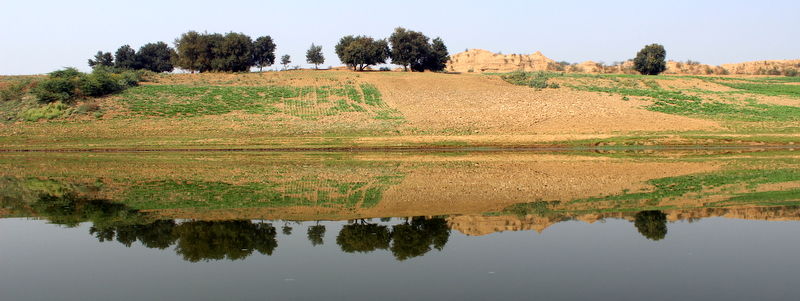 Photo of A weekend visit to Dhaulpur 15/31 by Jyoti Sapre