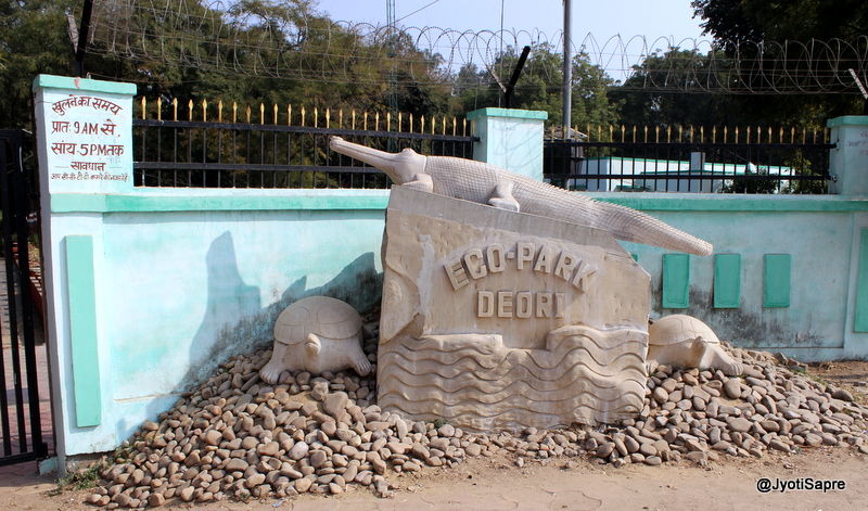 Photo of A weekend visit to Dhaulpur 16/31 by Jyoti Sapre