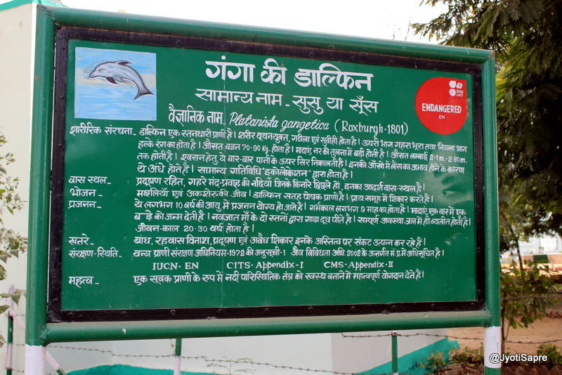 Photo of A weekend visit to Dhaulpur 30/31 by Jyoti Sapre