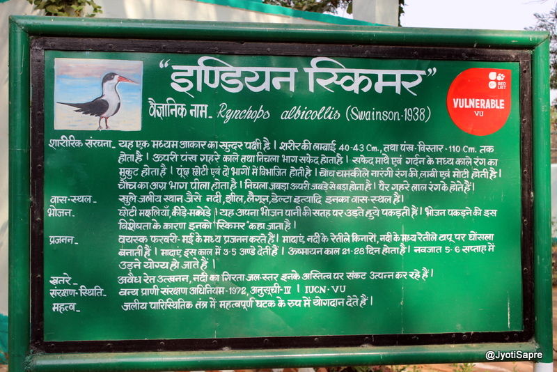 Photo of A weekend visit to Dhaulpur 31/31 by Jyoti Sapre