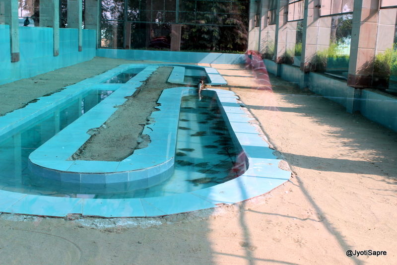 Photo of A weekend visit to Dhaulpur 26/31 by Jyoti Sapre