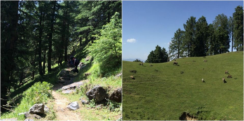 Photo of A Budget Friendly Trip To Chakrata!!! by Shweta Joshi