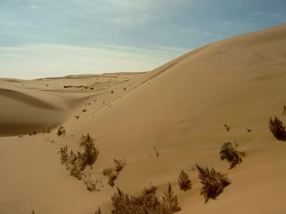 Photo of Gobi Desert by Tripoto
