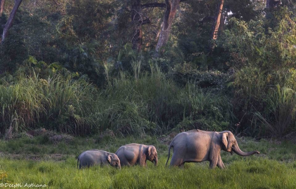 Photo of All You Need To Know About Exploring Northeast India In 10 Days 1/1 by Tripoto