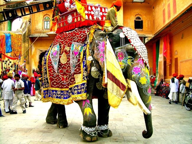 Photo of Things To Do In Jaipur That Will Keep You Coming Back To This Colourful City (3D/ 2N) 1/1 by Tripoto