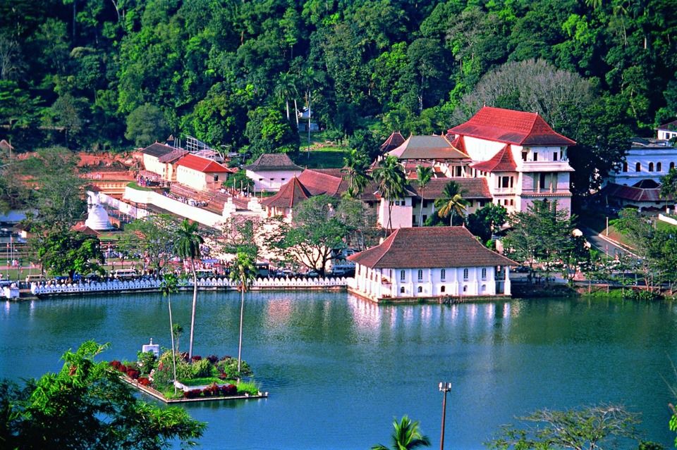 Photo of With Elephants, Turtles, And More Exotic Wildlife, Sri Lanka Makes For A Great Family Getaway 1/2 by Tripoto
