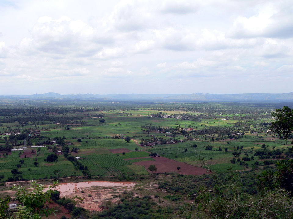 Photo of Yelagiri, Tamil Nadu, India by Tripoto