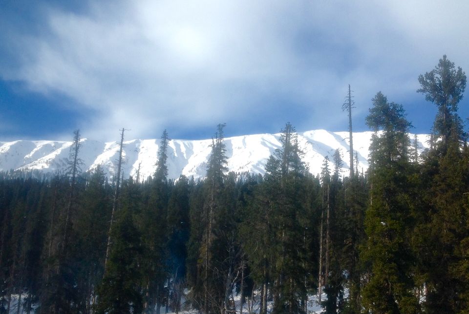Photo of Gulmarg by Tripoto