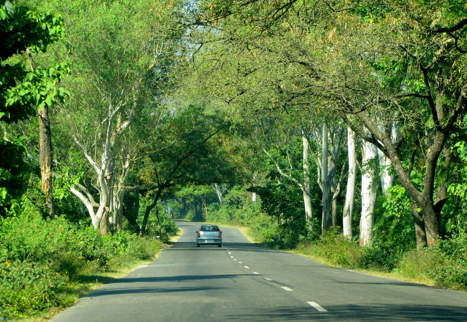 Photo of Dehradun, Uttarakhand, India by Tripoto