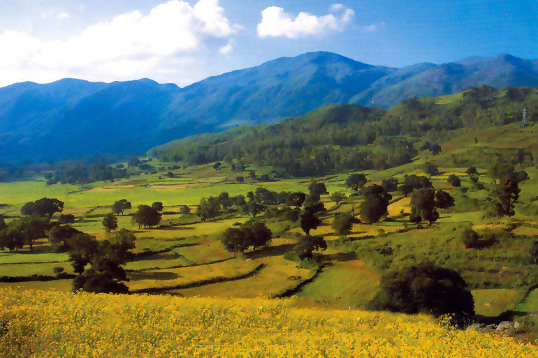 Photo of Araku Valley, Andhra Pradesh, India by Tripoto