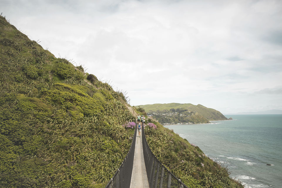 Photo of Te Araroa, Gisborne, New Zealand by Tripoto